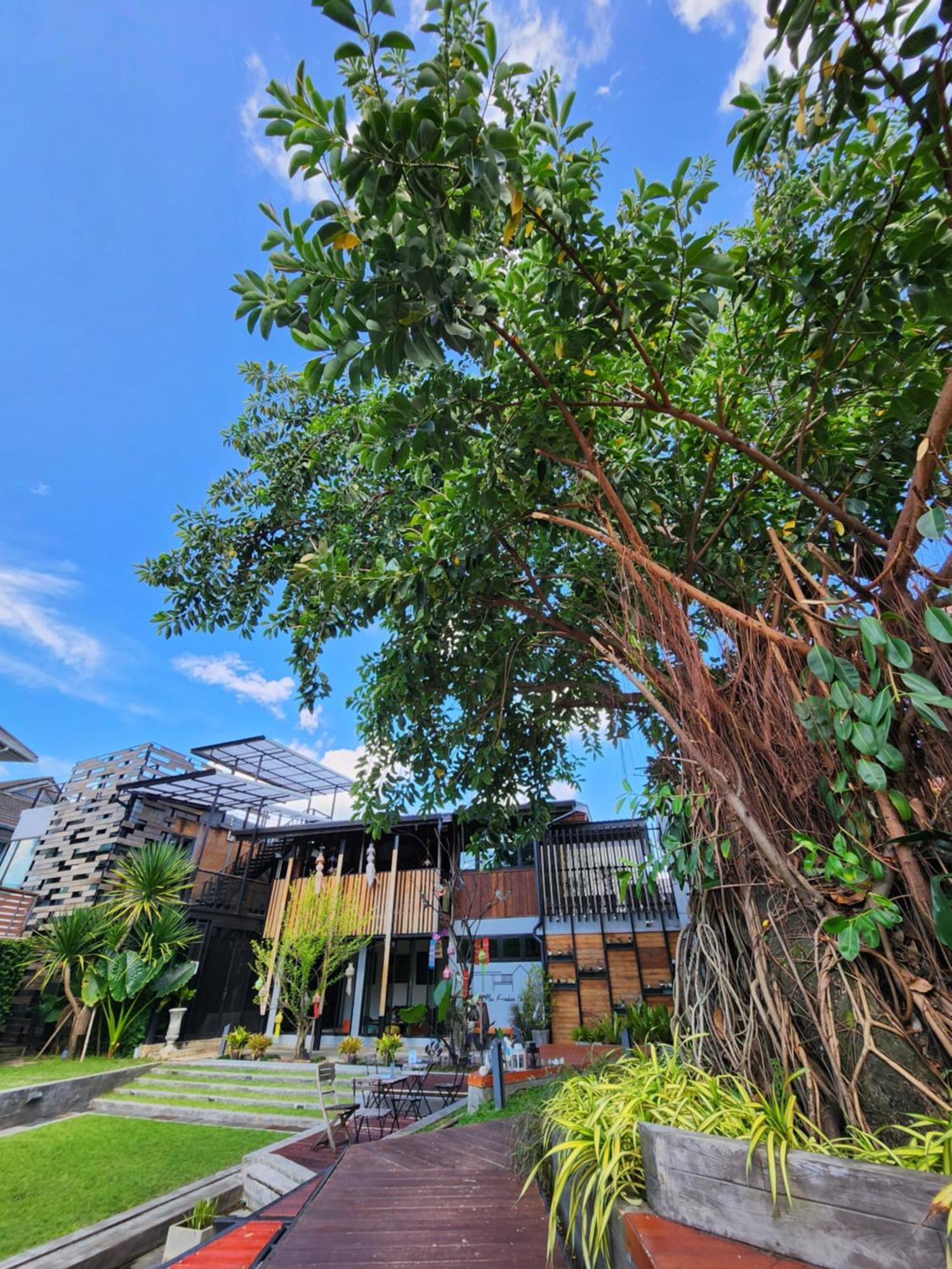 Baan Mai Kradan Hostel Chiang Rai Exterior photo